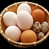 Перепелиные яйца - альтернатива лекарствам